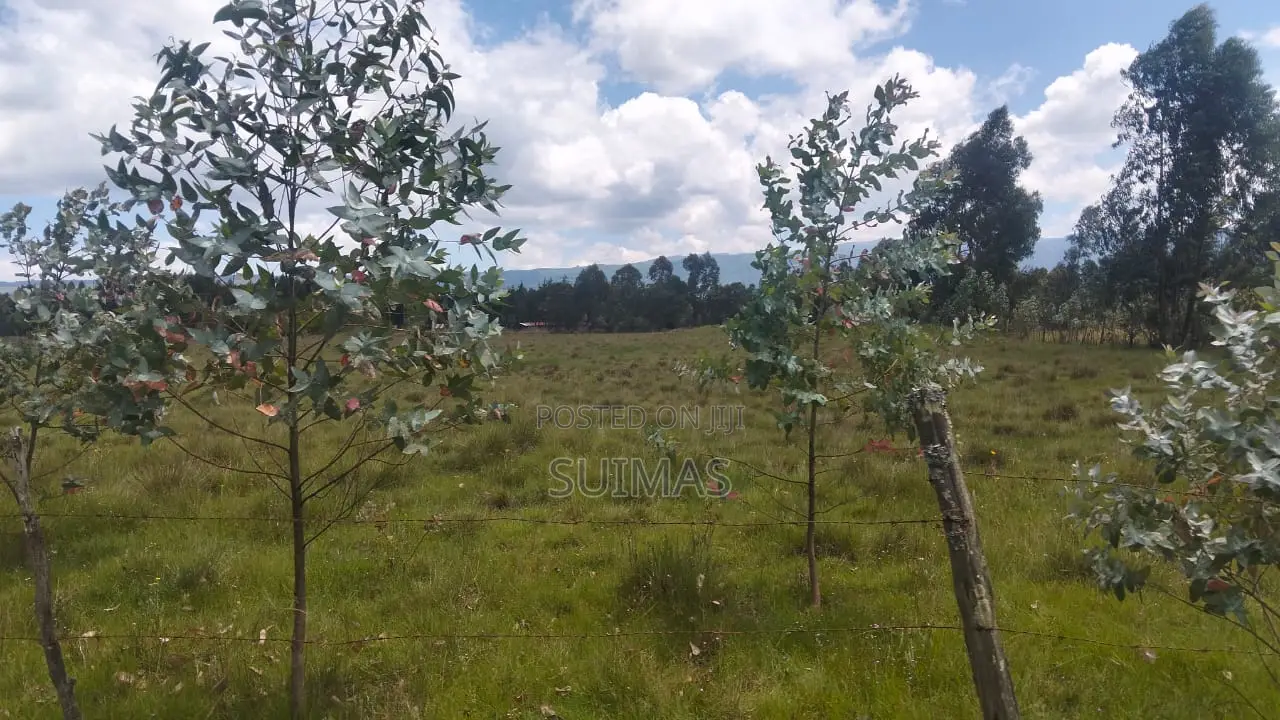 Kabubani Land for Sale