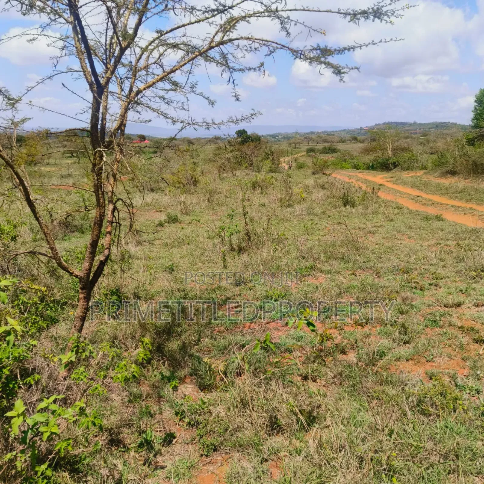 10.8 Acres on Red Soil