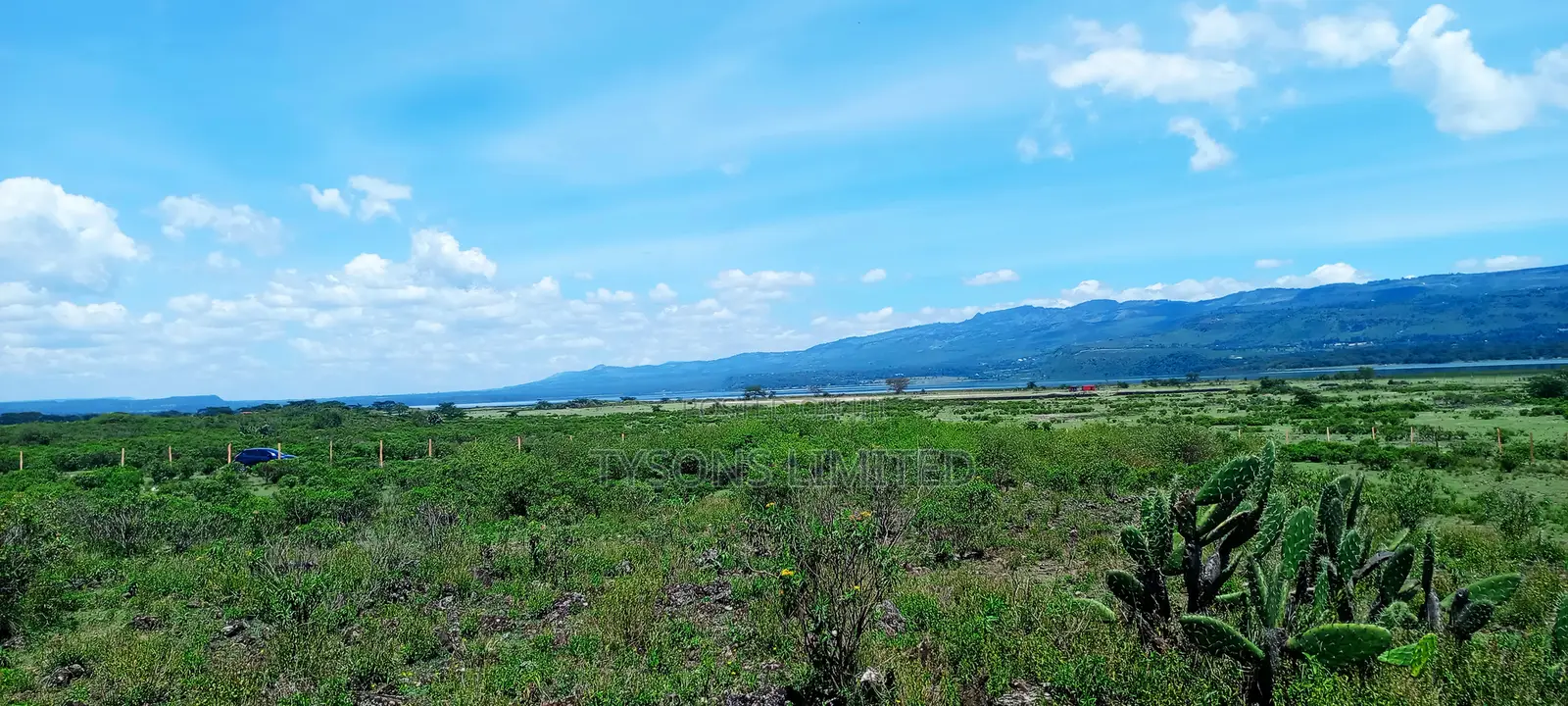 Land for Sale at Lake Elementaita Area