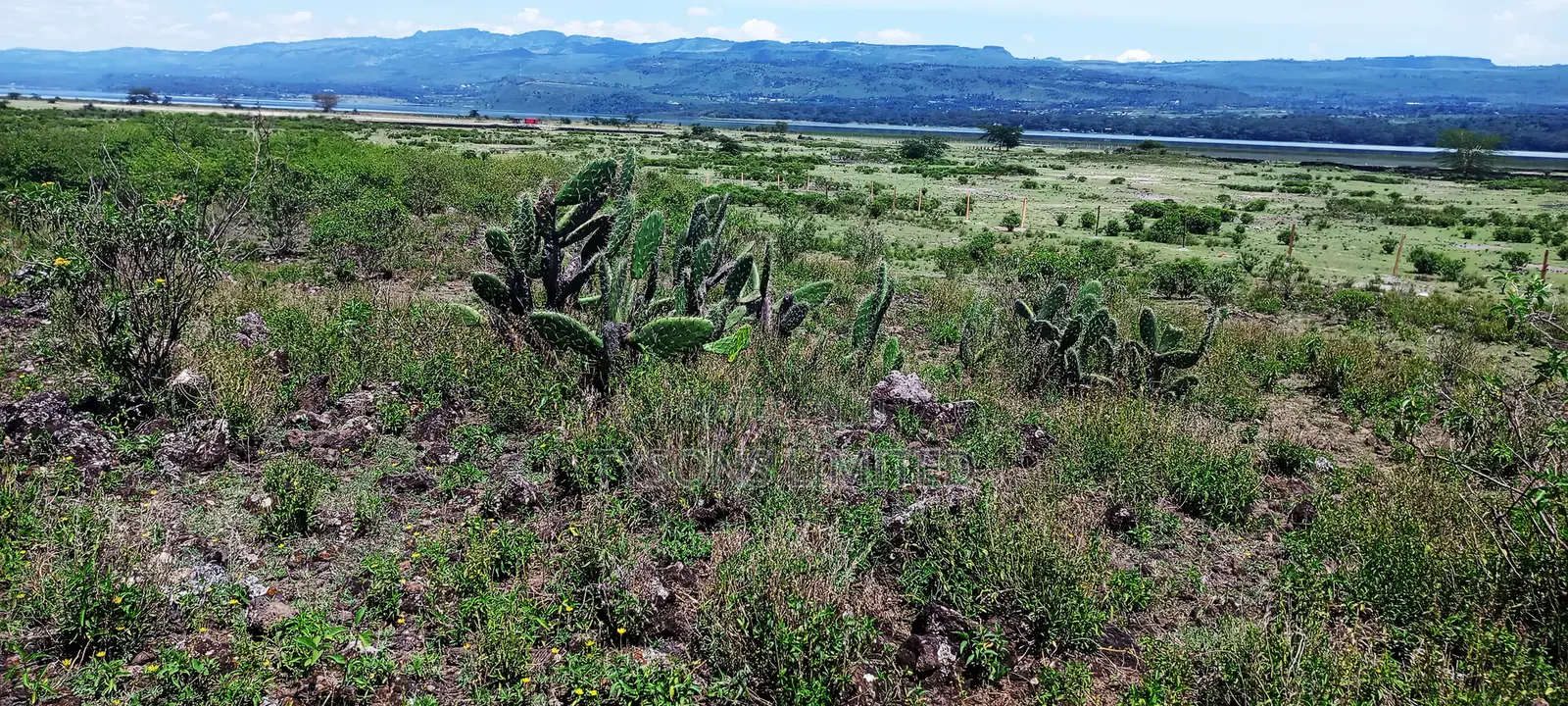 Land for Sale at Lake Elementaita Area
