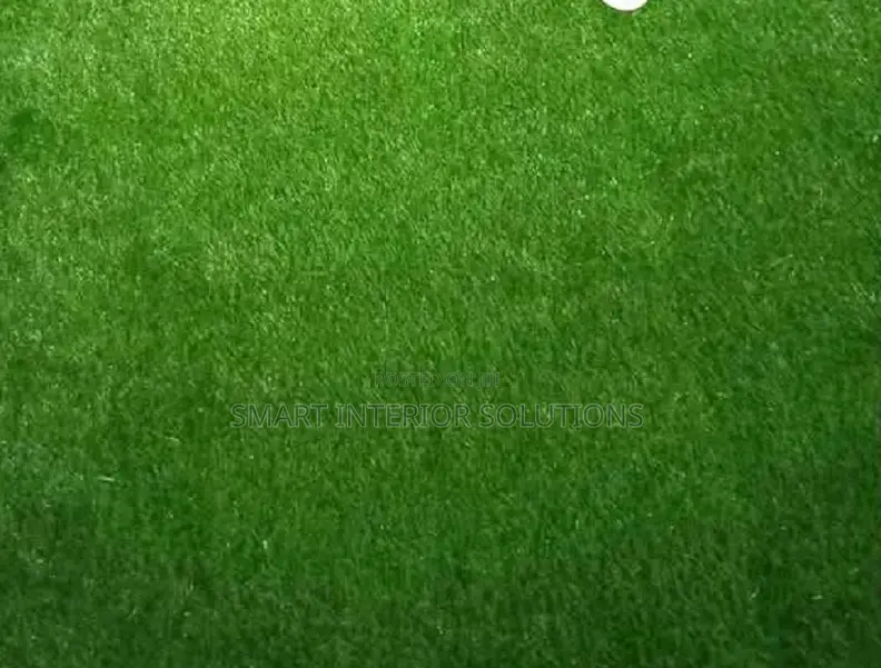 Artificial Grass for Indoor Outdoor Use – Tsavo Road, Odeon