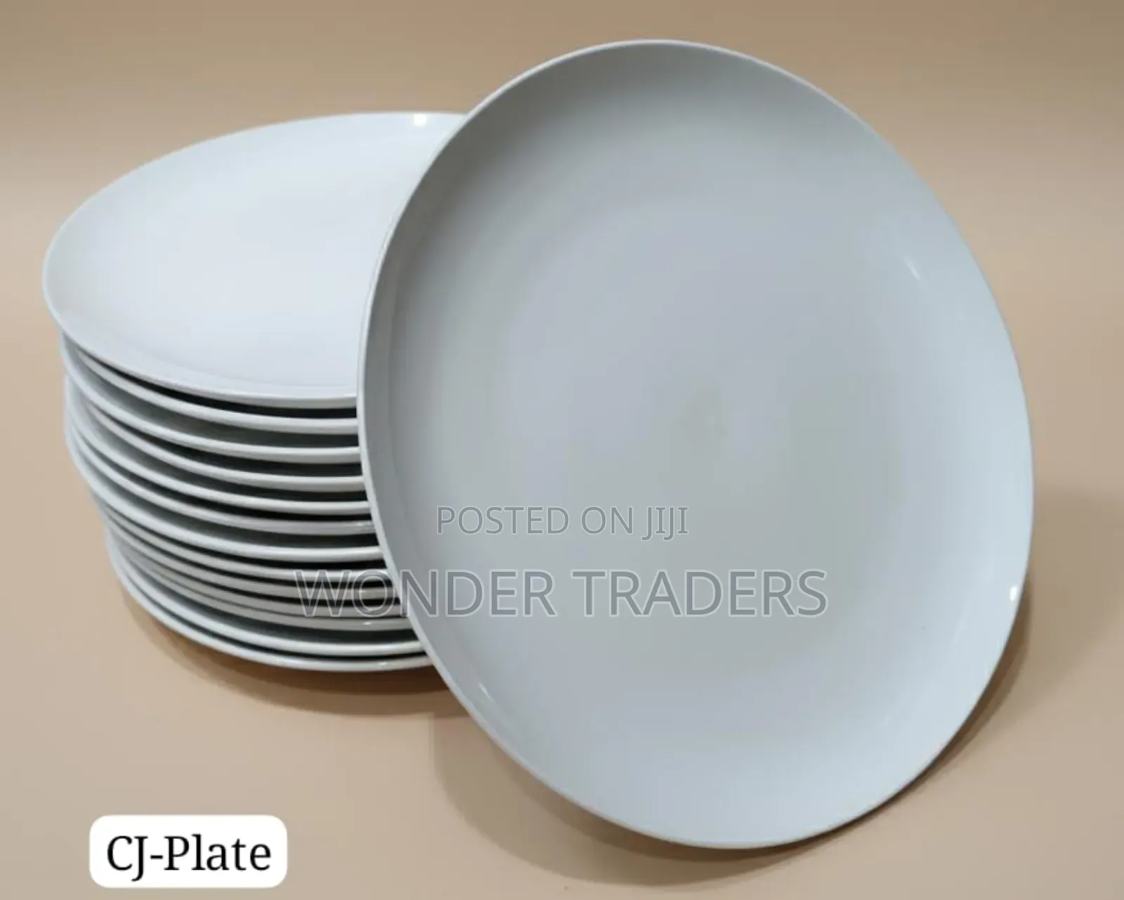 6 Pieces Dinner Plates