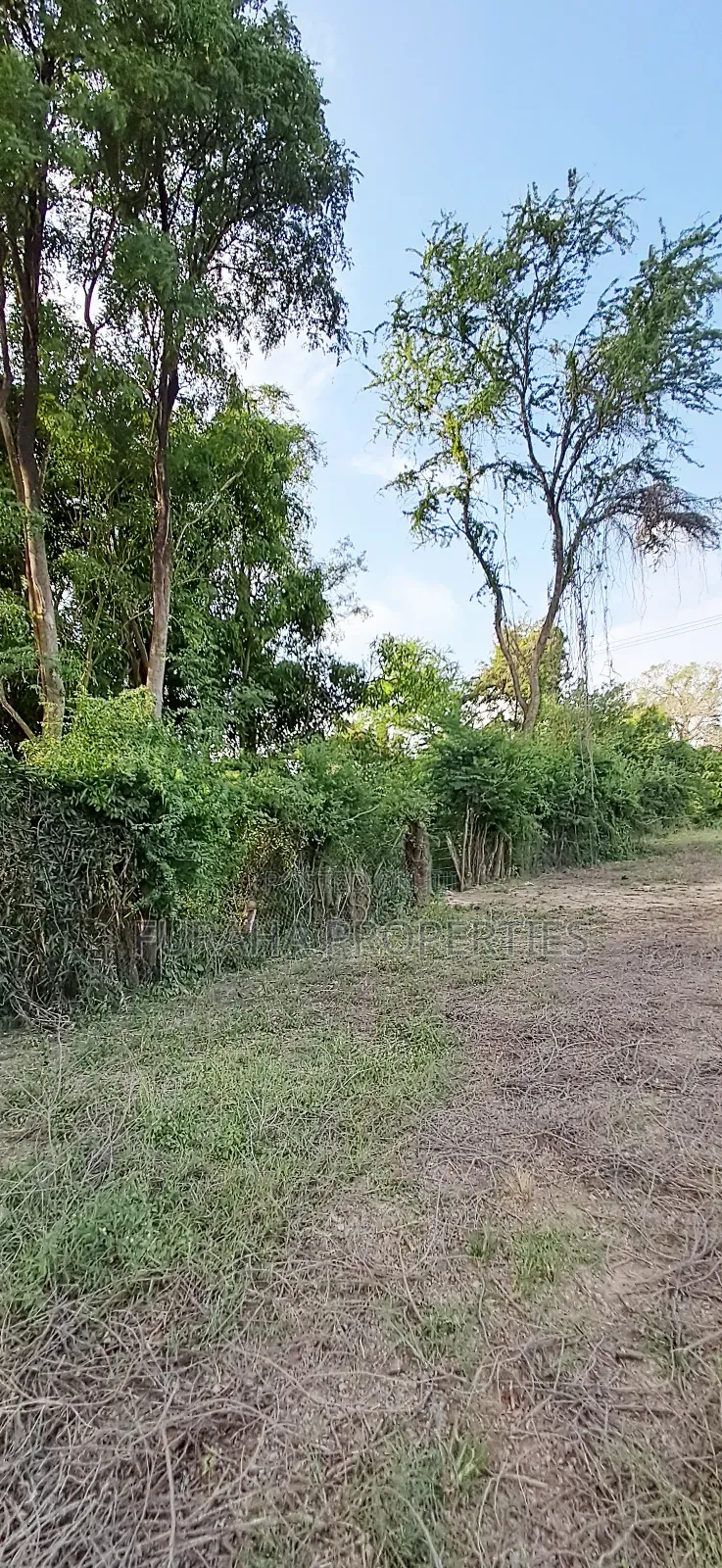 For Sale Quater Acre Plot Kikambala