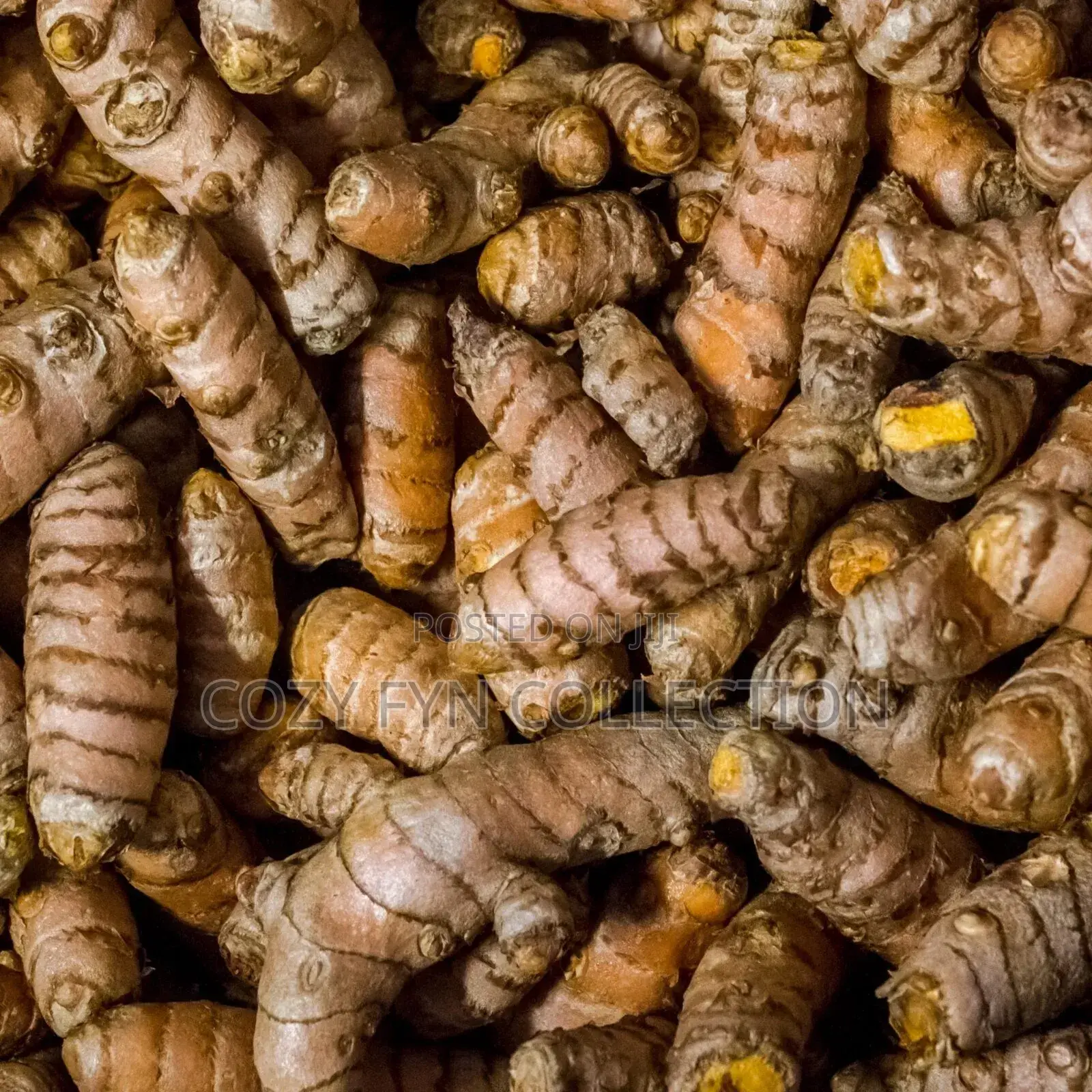 Tumeric Fresh From the Farm