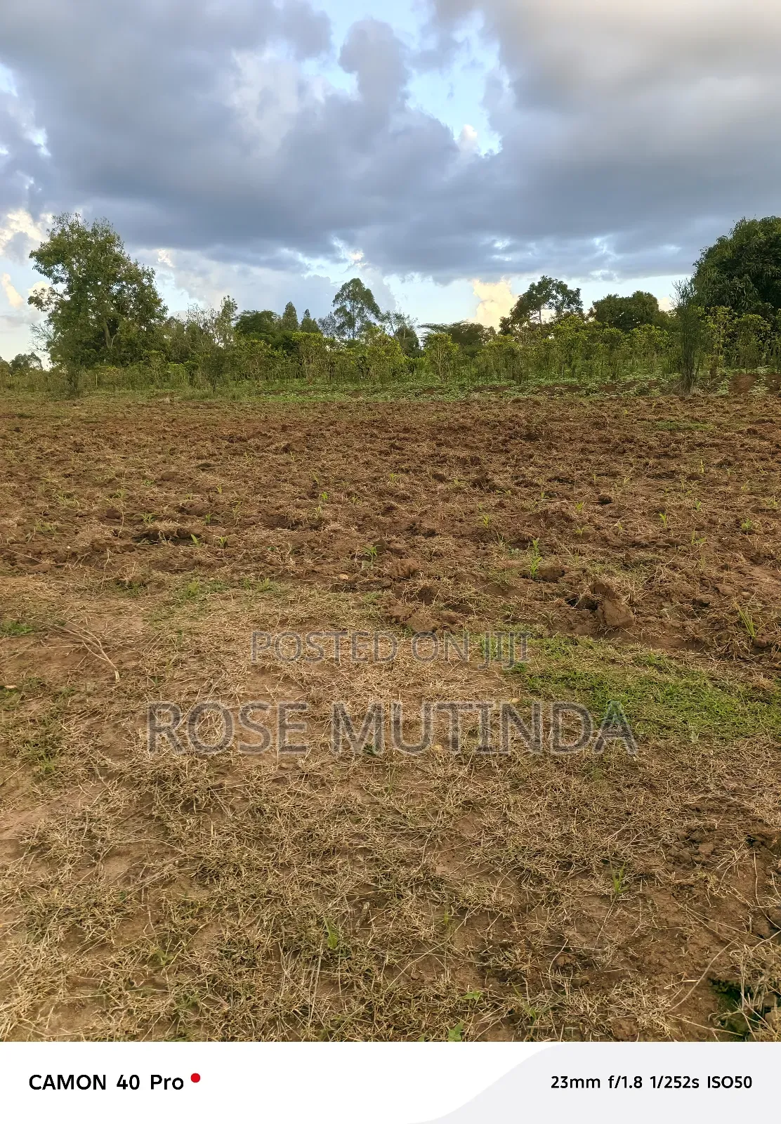 1and Half Acre at Tala