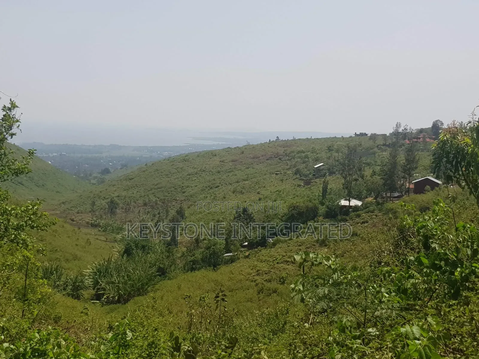 Plot for Sale in Riat