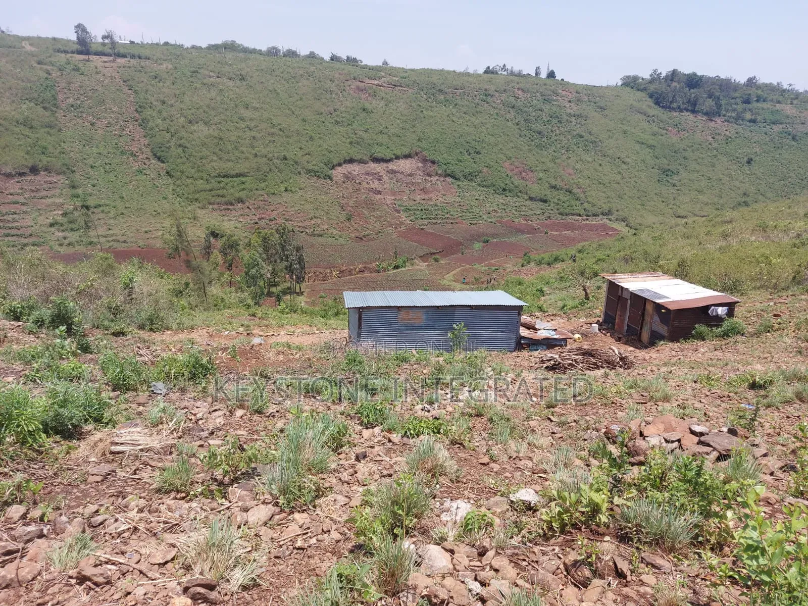 Plot for Sale in Riat