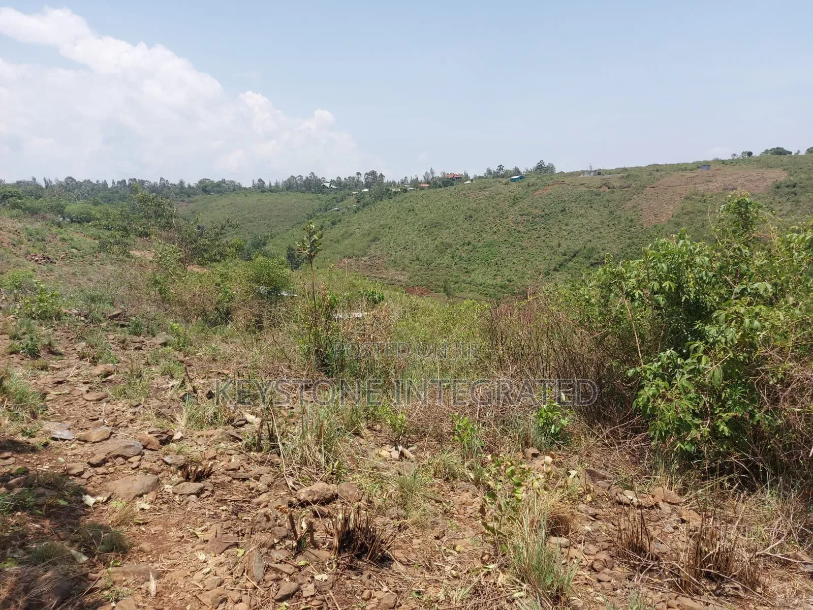 Plot for Sale in Riat