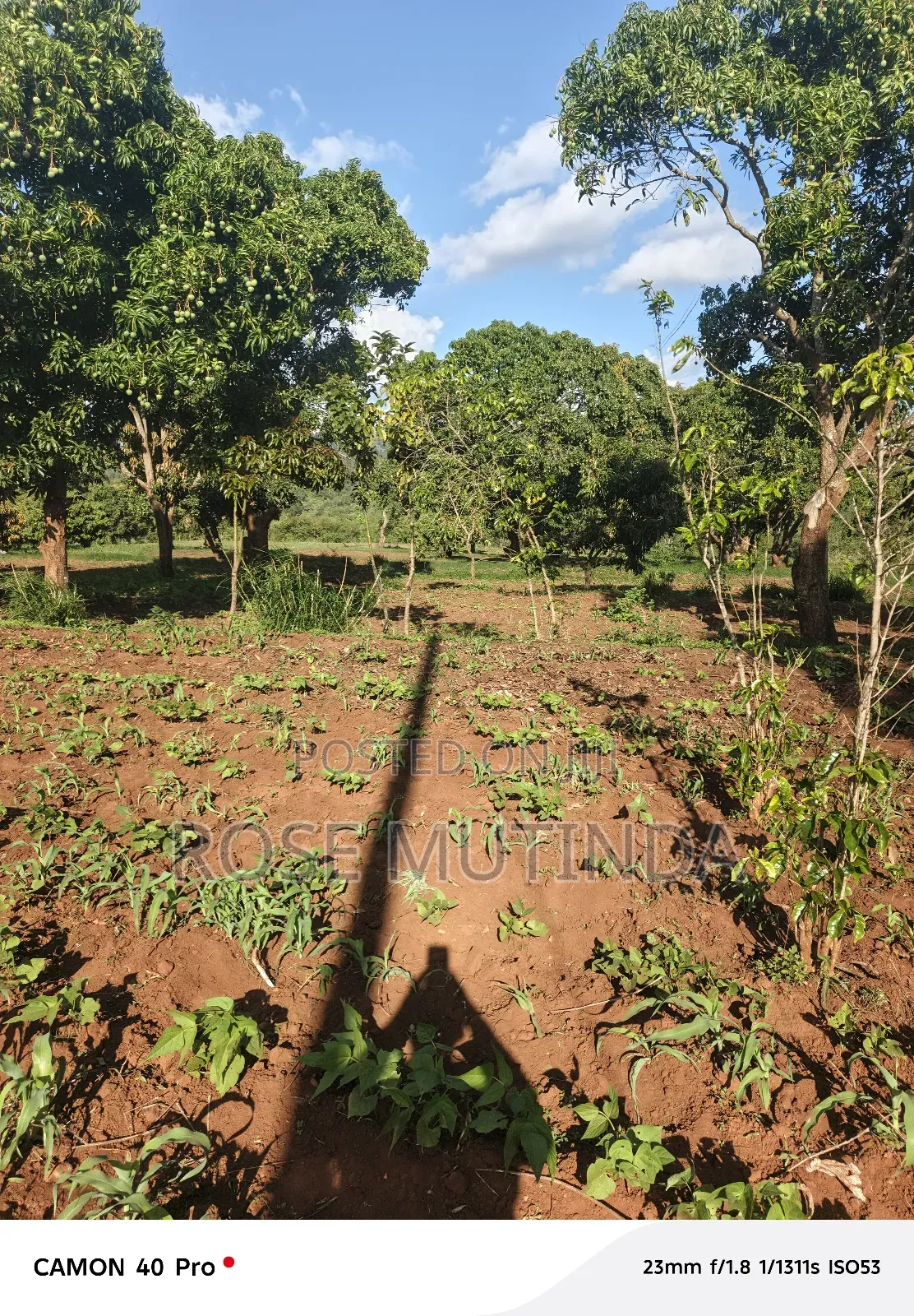 9 Acres at Sengani