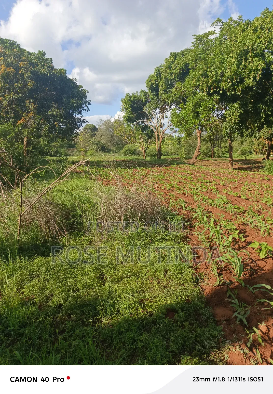 9 Acres at Sengani