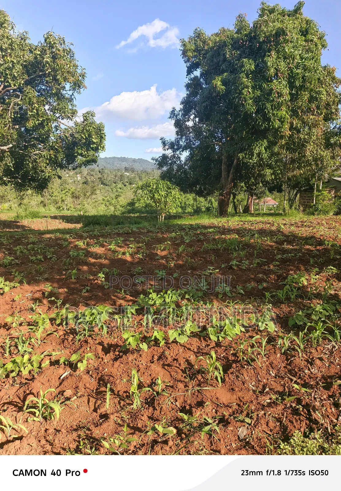 9 Acres at Sengani