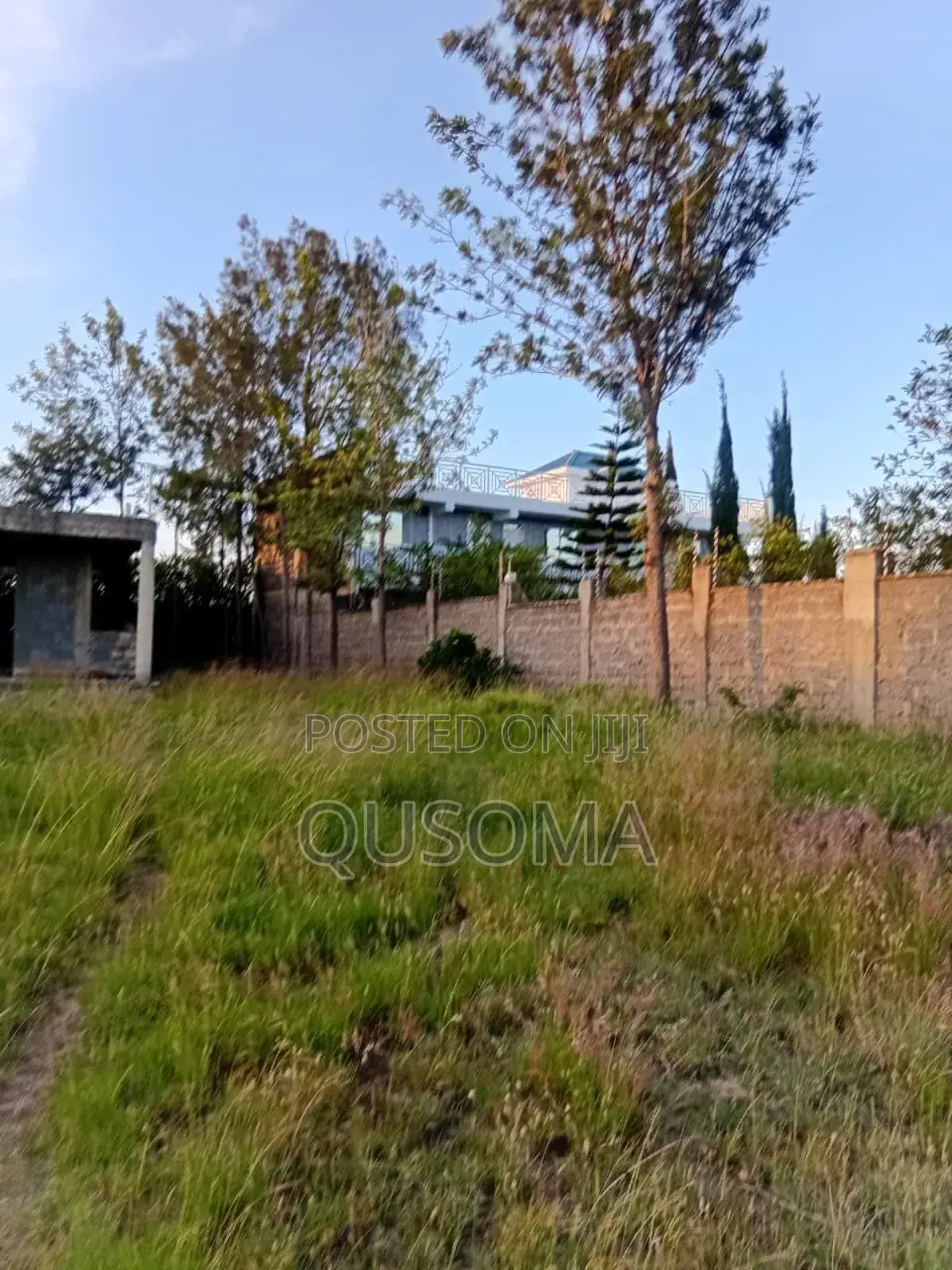 Developer's Dream: Unlock the Potential of Half an Acre in Chuna!