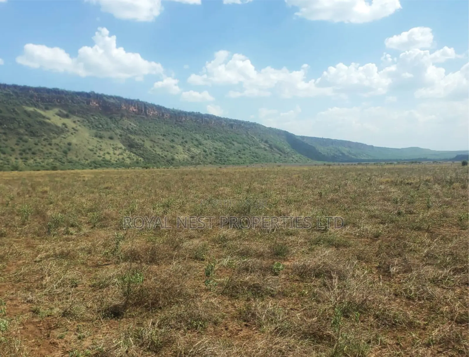 One Acre of Land for Sale in Oletepesi / Tinga