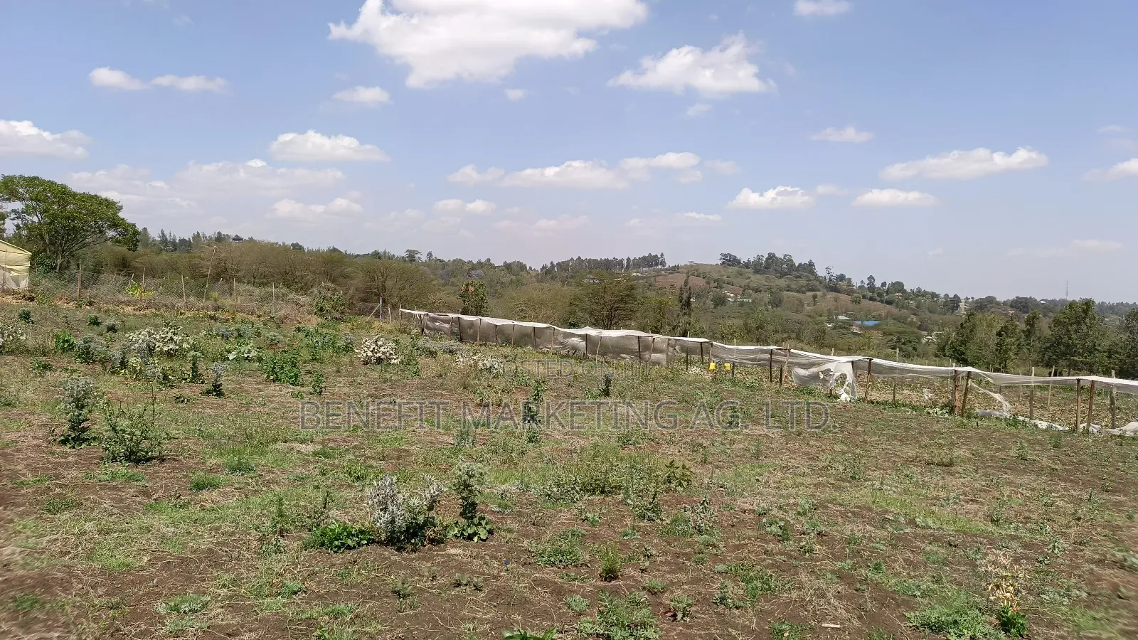 Half Acre Plot for Sale in Kiserian, St. Patrick's Road