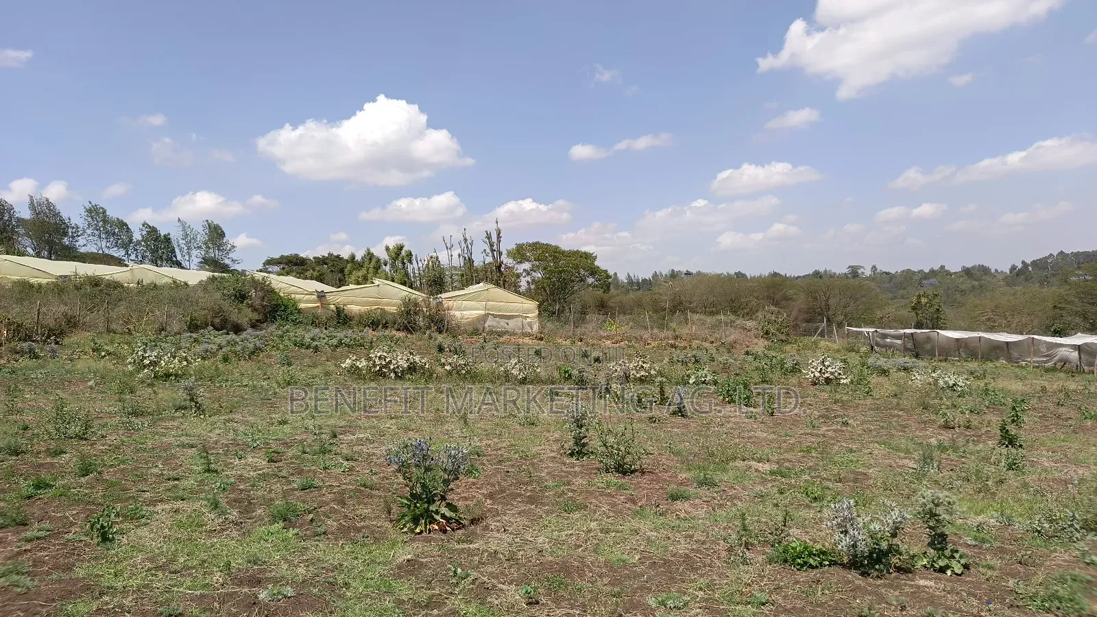Half Acre Plot for Sale in Kiserian, St. Patrick's Road
