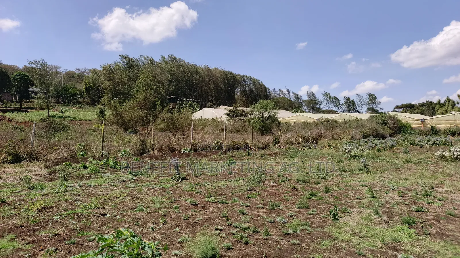 Half Acre Plot for Sale in Kiserian, St. Patrick's Road