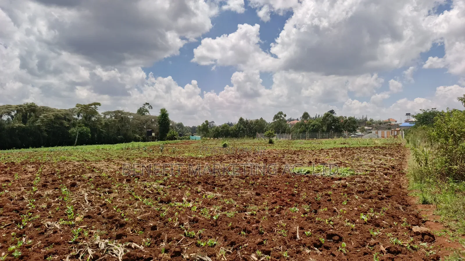 Half Acre Plot for Sale in Kerarapon Drive, Ngong