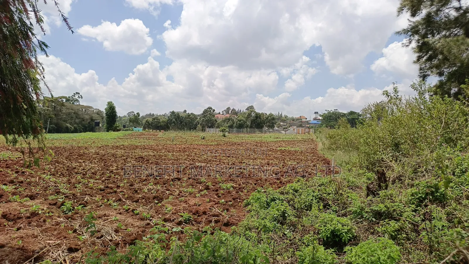 Half Acre Plot for Sale in Kerarapon Drive, Ngong