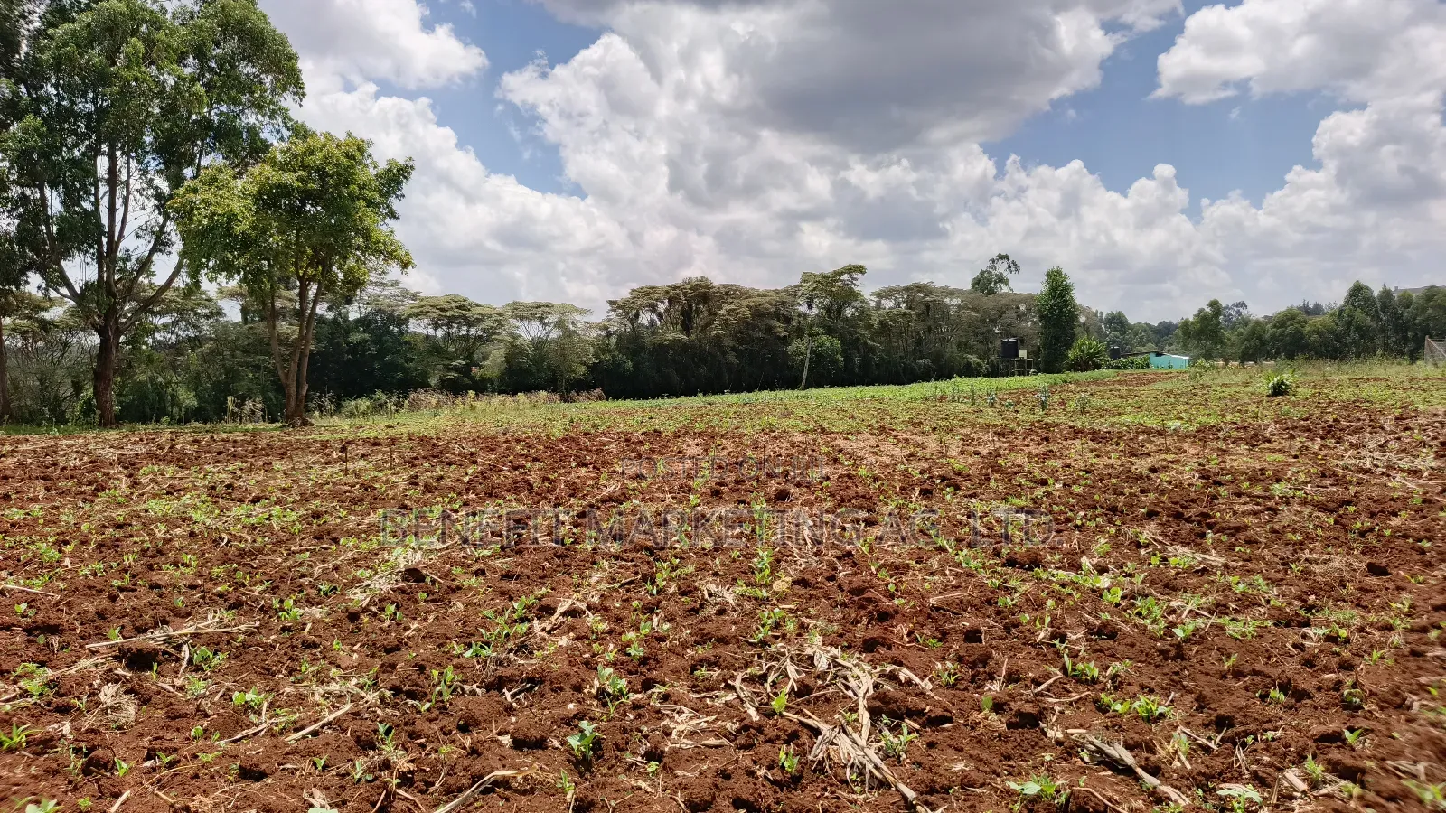 Half Acre Plot for Sale in Kerarapon Drive, Ngong