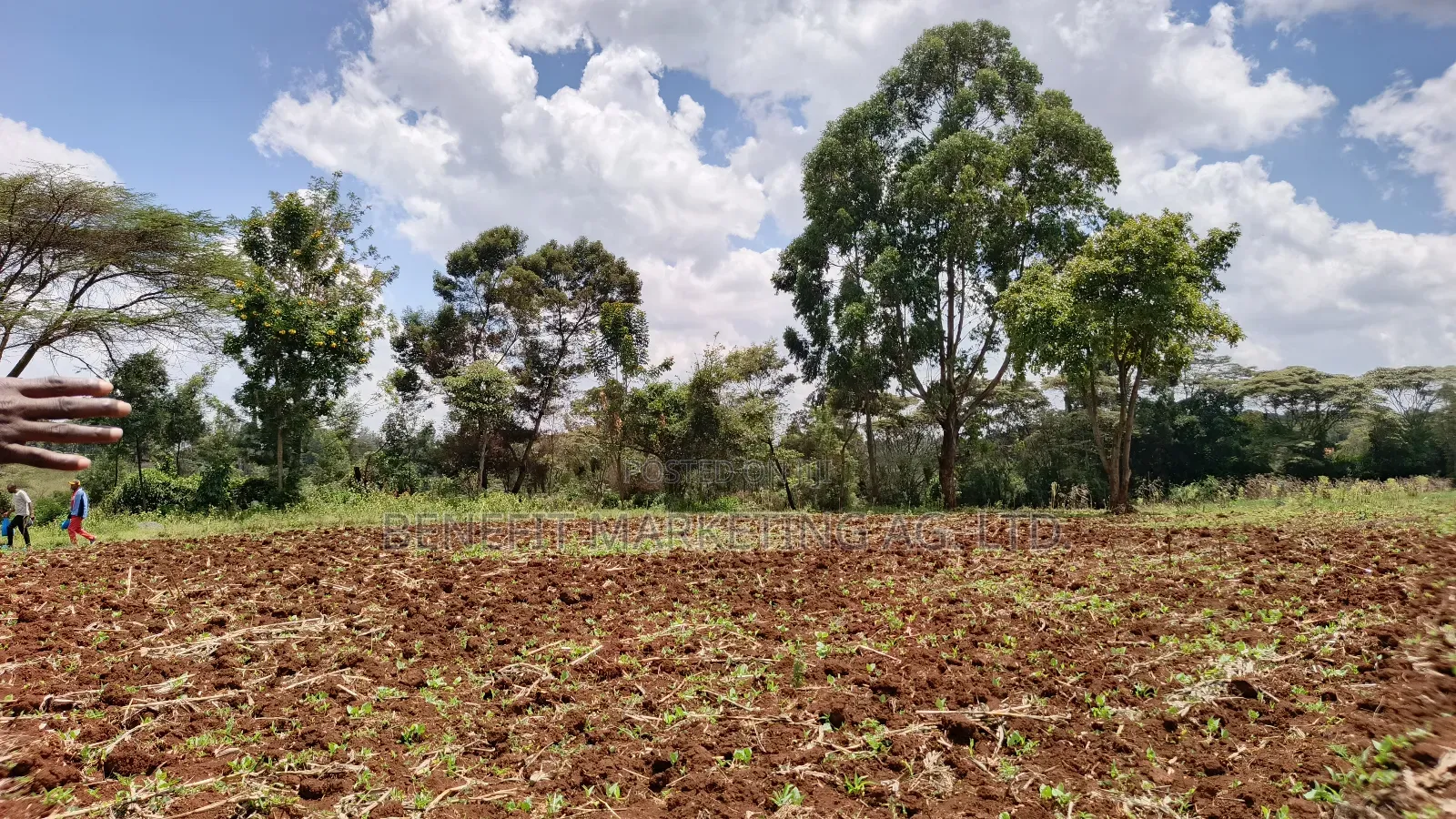 Half Acre Plot for Sale in Kerarapon Drive, Ngong
