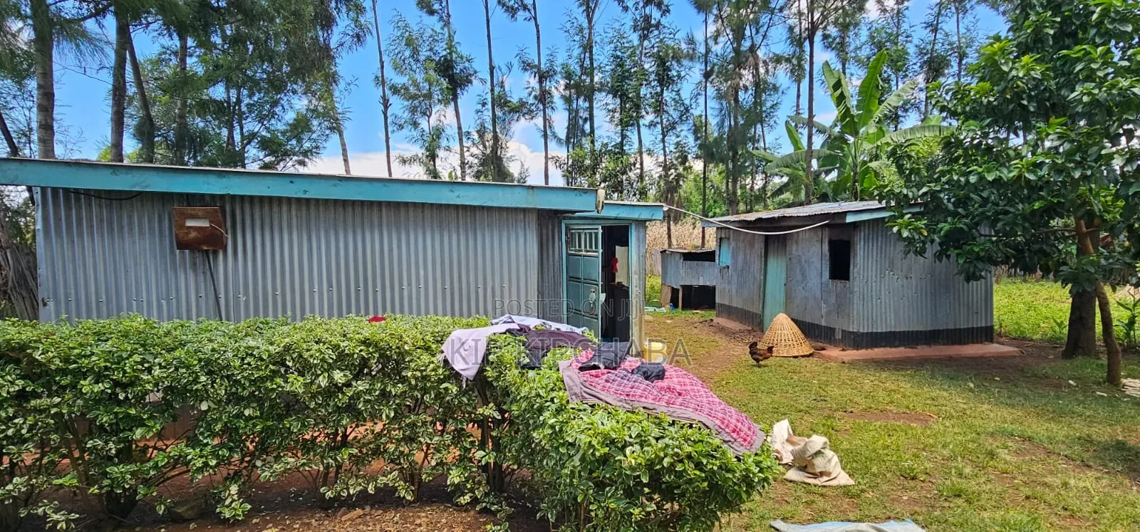 2bdrm House in Kuinet, Kimumu for sale