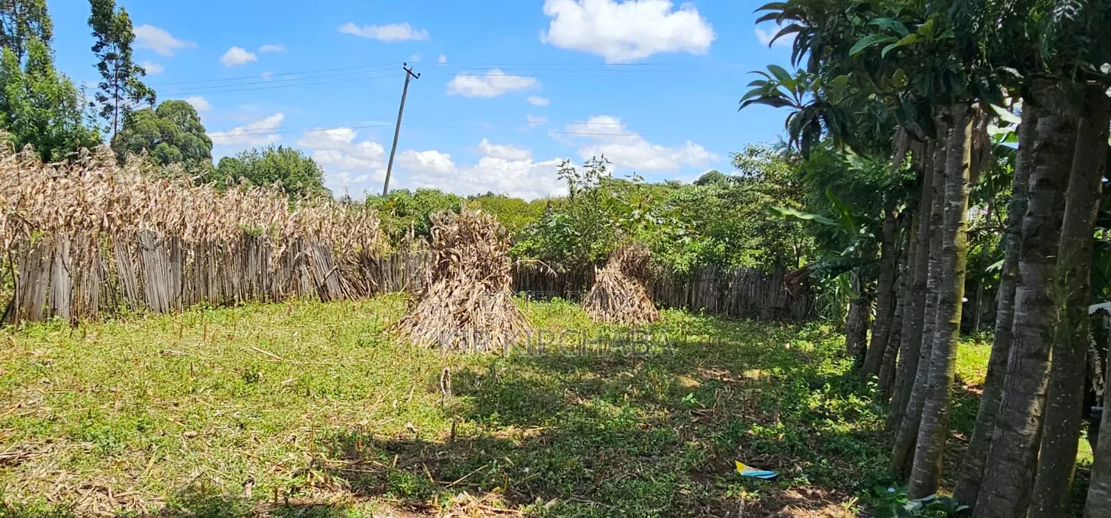 2bdrm House in Kuinet, Kimumu for sale