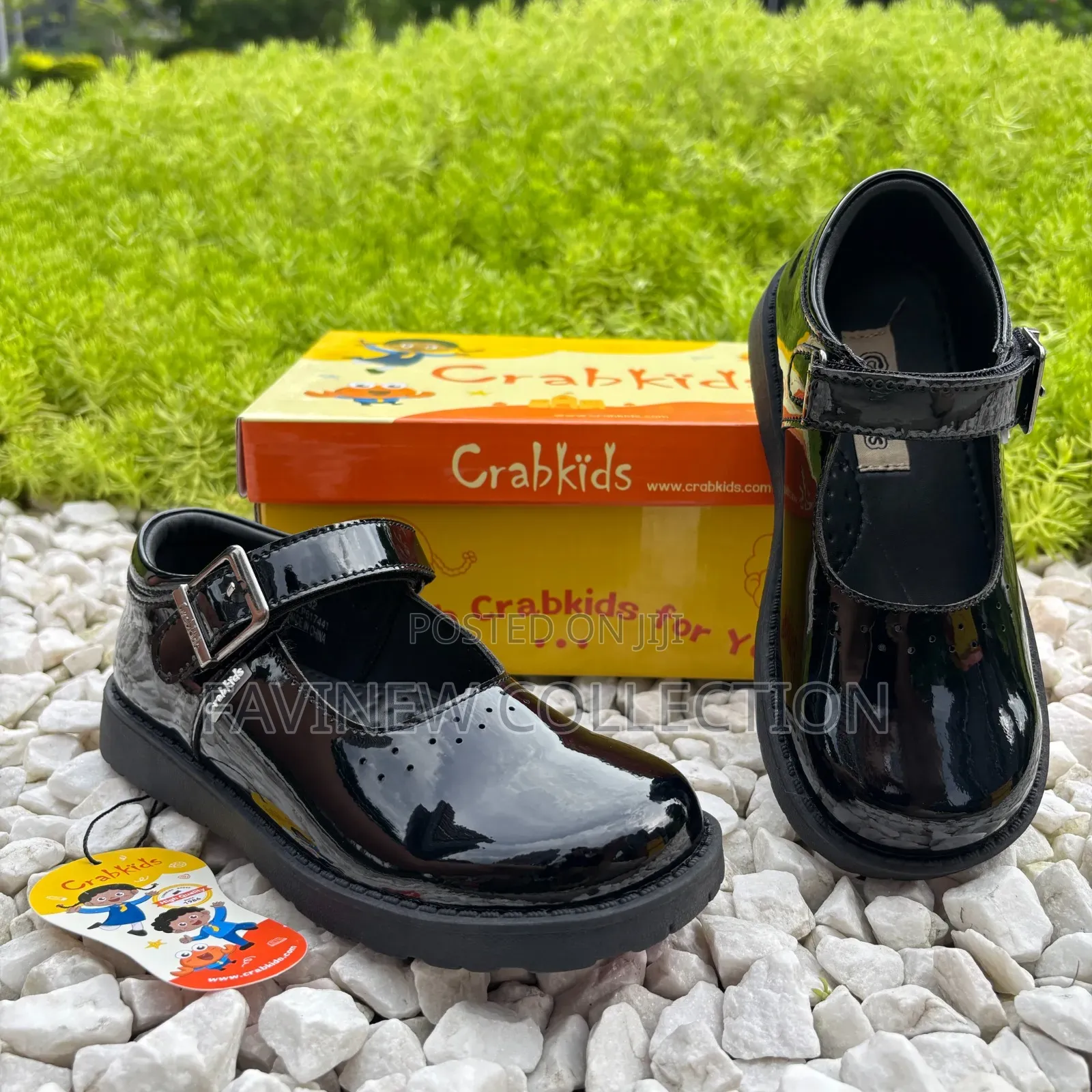 Crab Kids Girls School Shoes