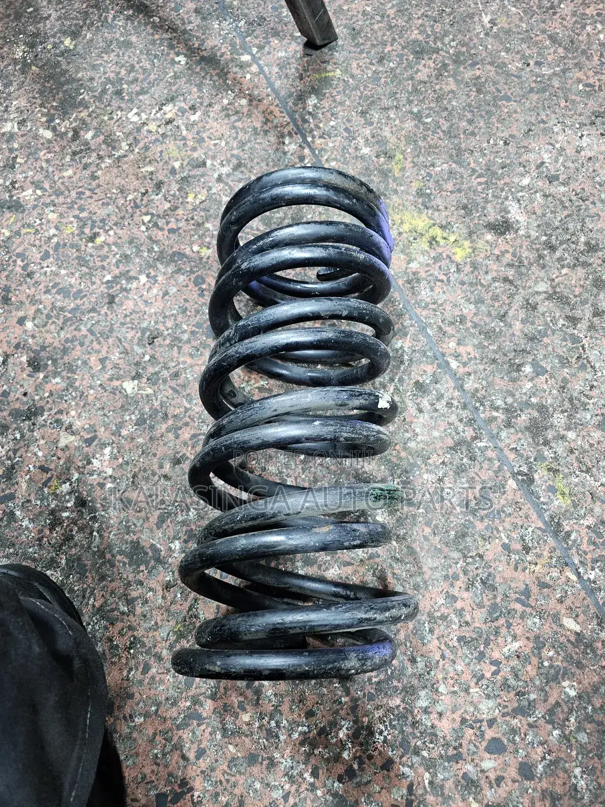 Rear Coil Springs Noah