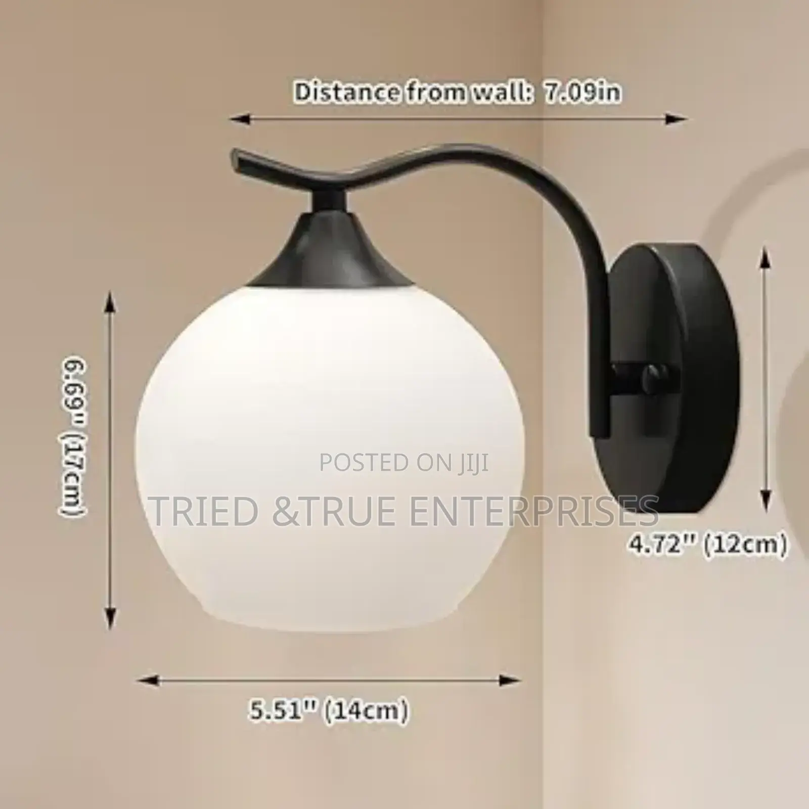 Elegant Glass Globe Black Metal Wall Bracket Light Tr3w