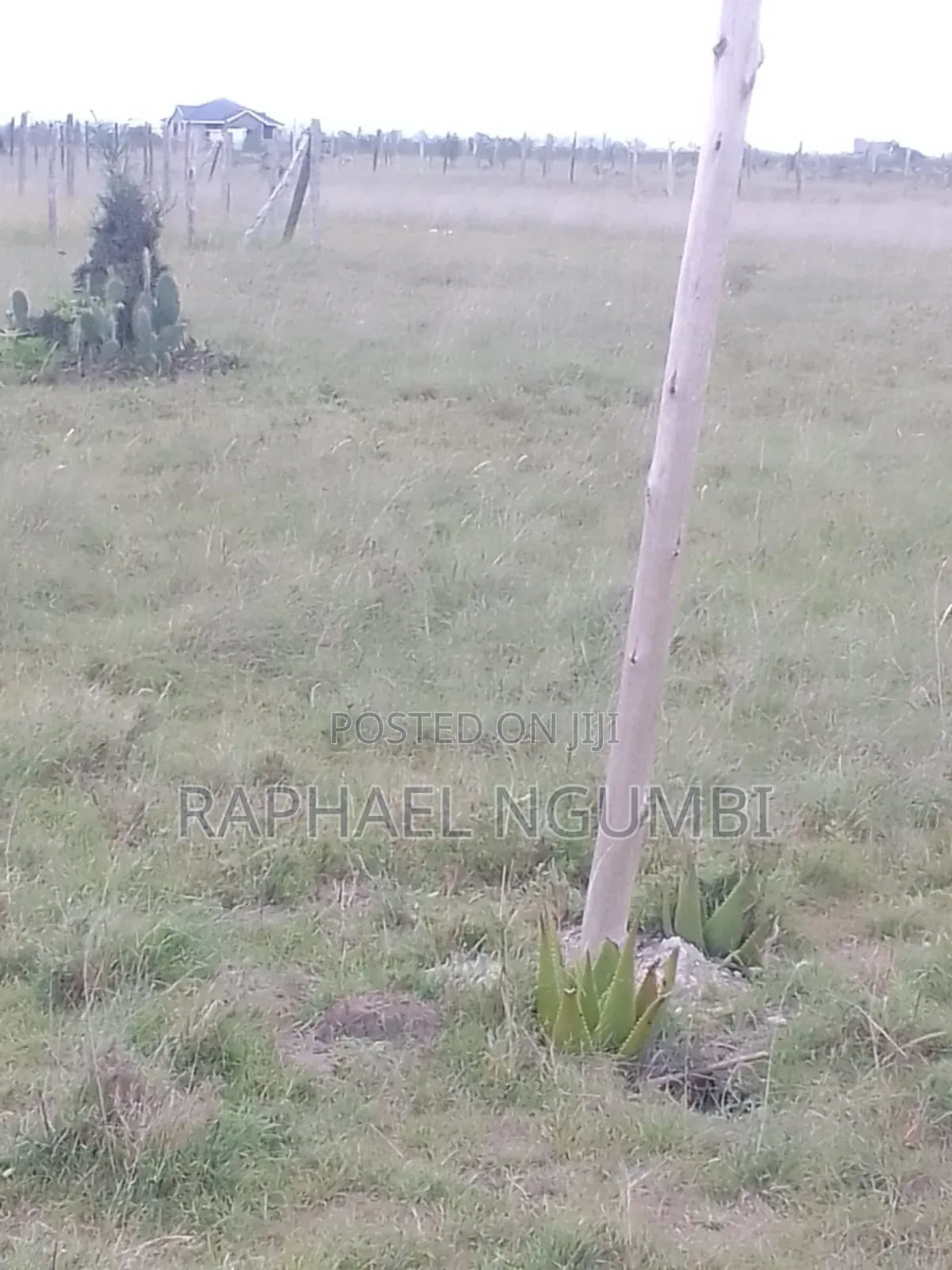 40*80 Plot at Komarock Near Verona Estate