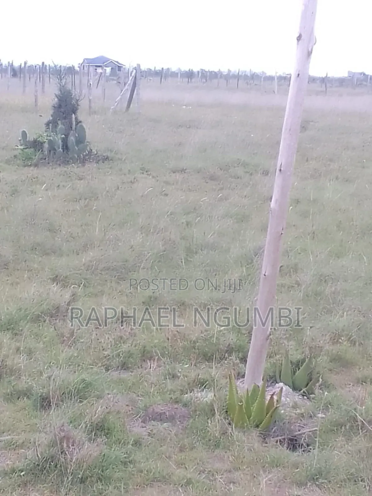 40*80 Plot at Komarock Near Verona Estate