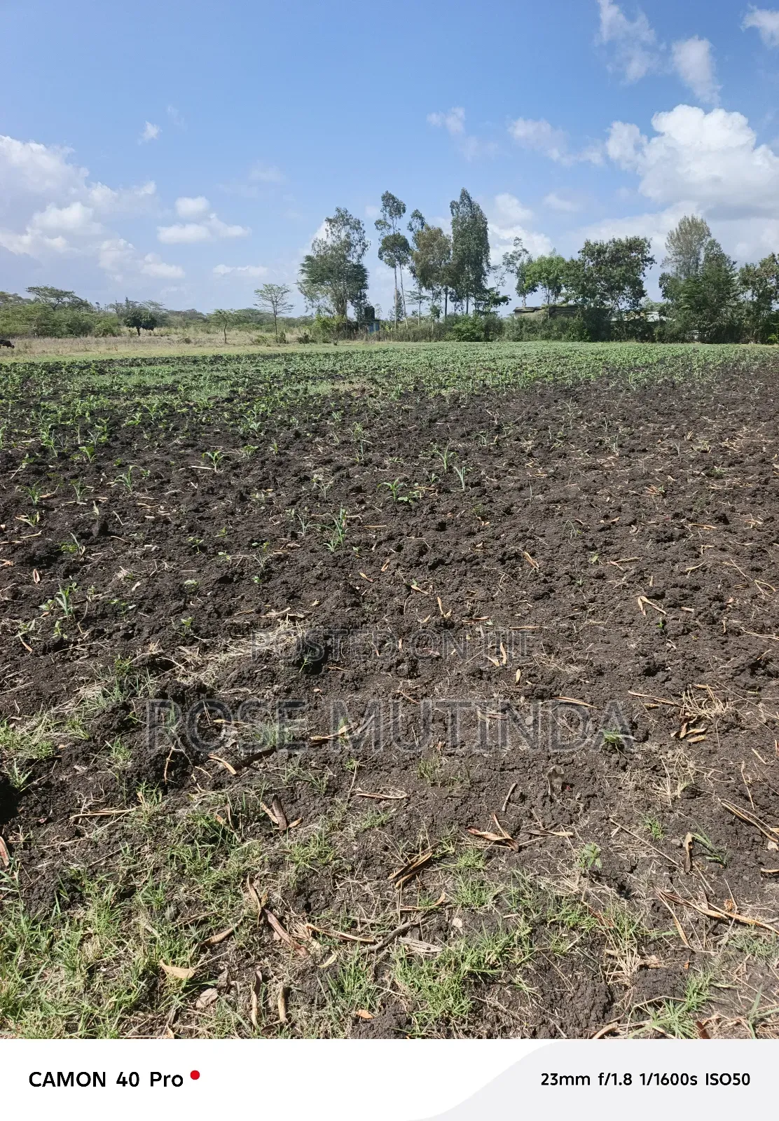 5acres at Kyeleni