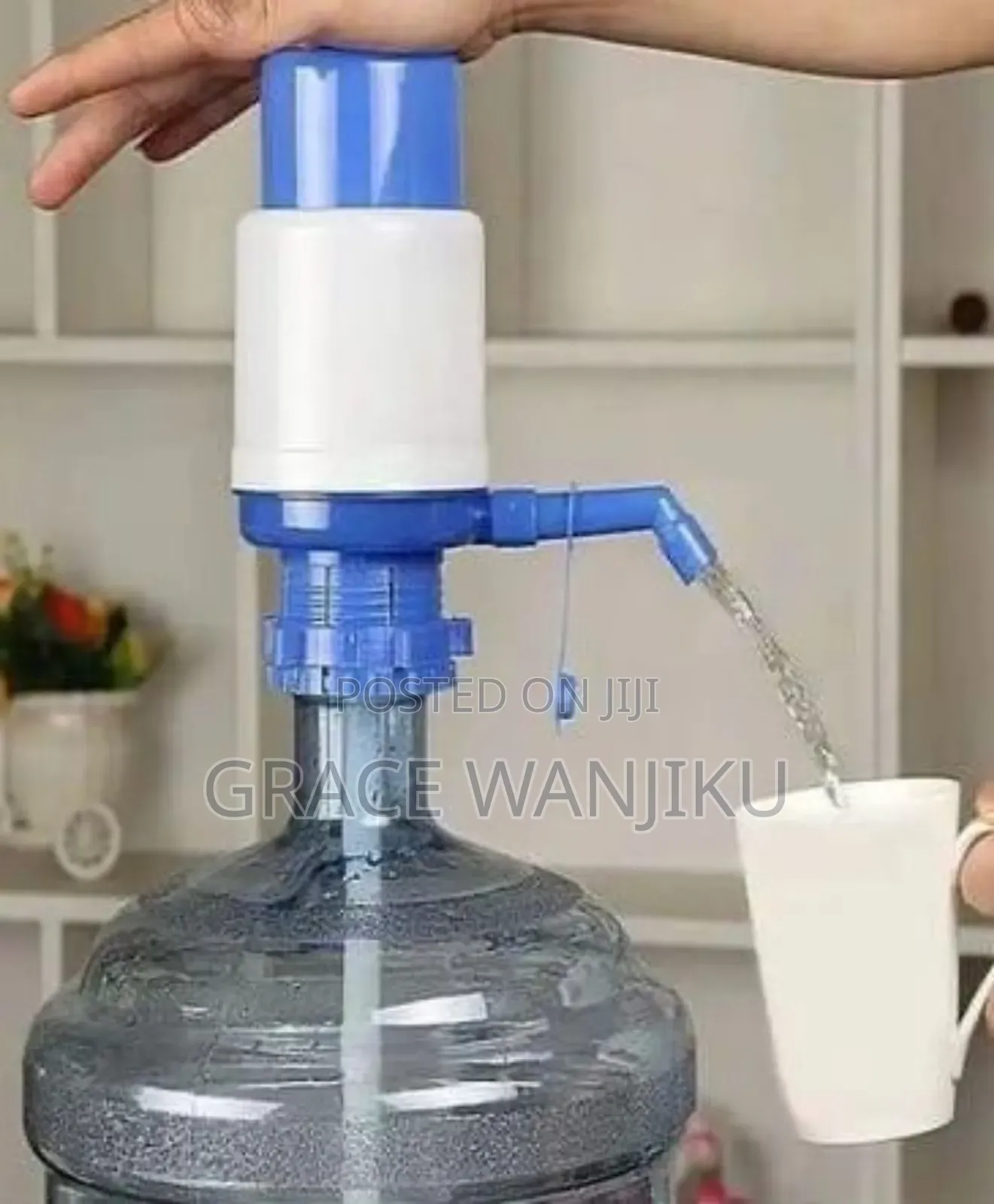 Manual Water Pump
