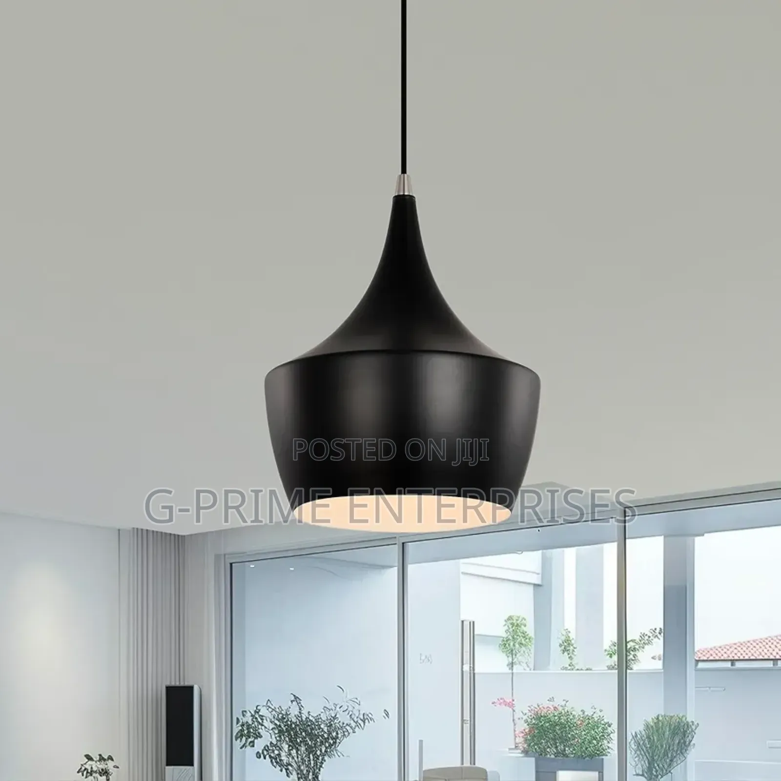 Pendant Light -Globe