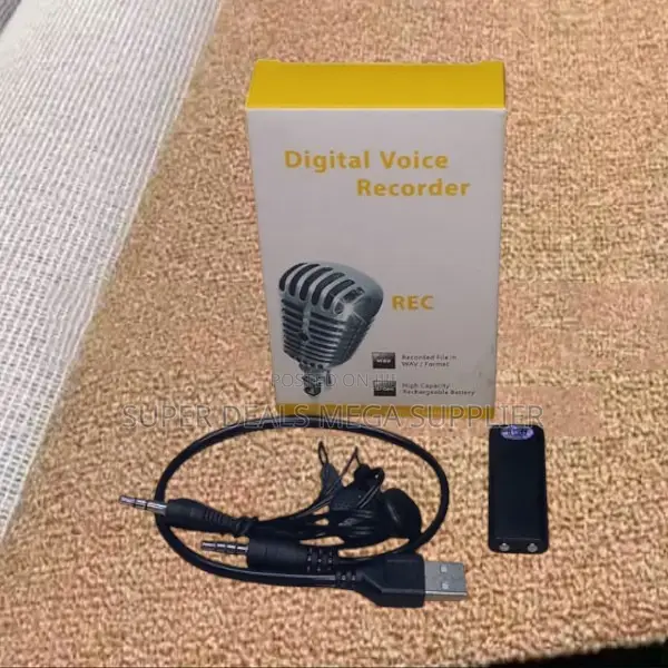 Compact Hd Audio Recorder With Usb Charging Function
