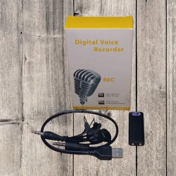 Clear Sound Pickup Mini Usb Audio Recorder With Long Lasting Battery