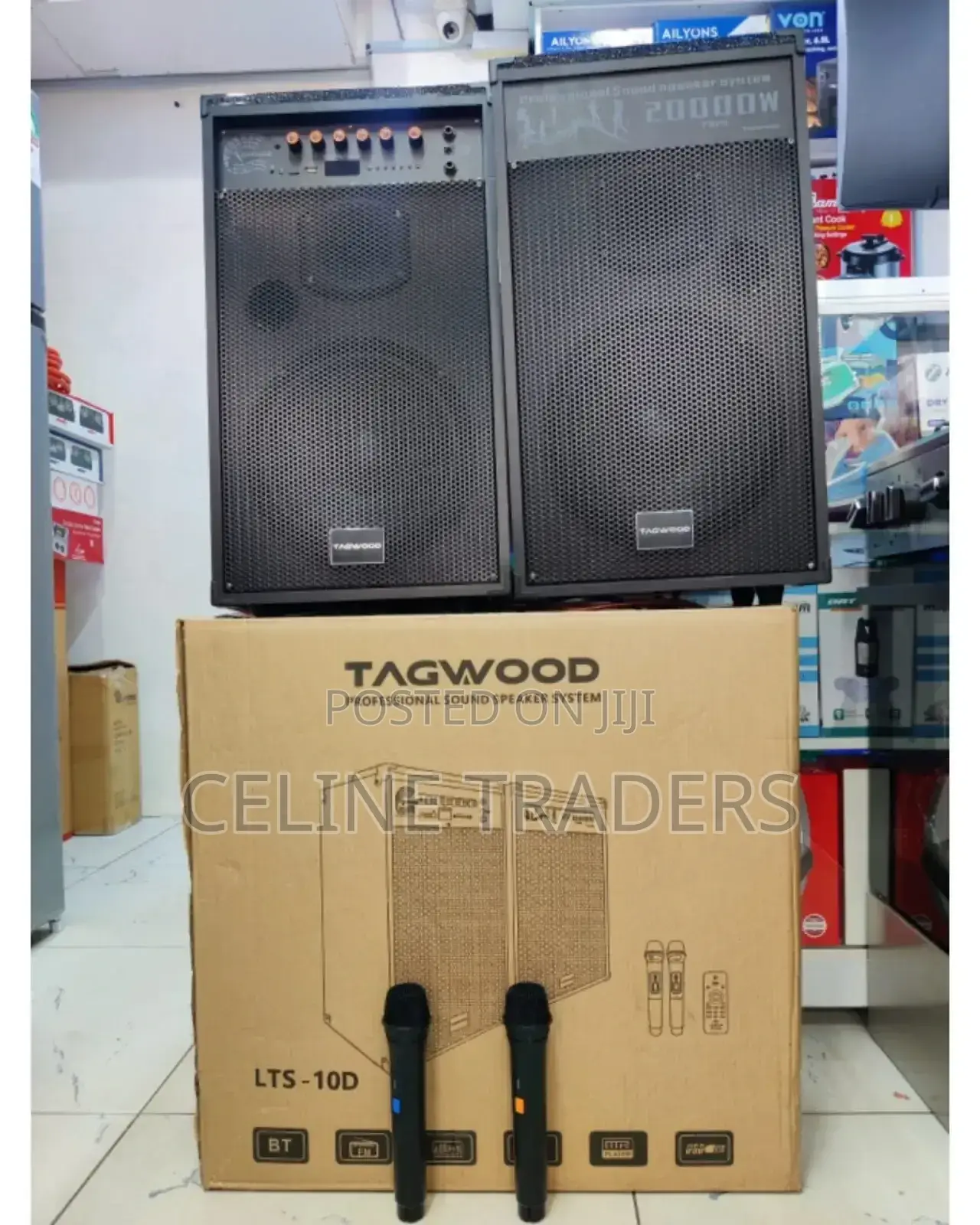 Tagwood 10d Professional Sound System – Pair Speakers + 2 Microphones
