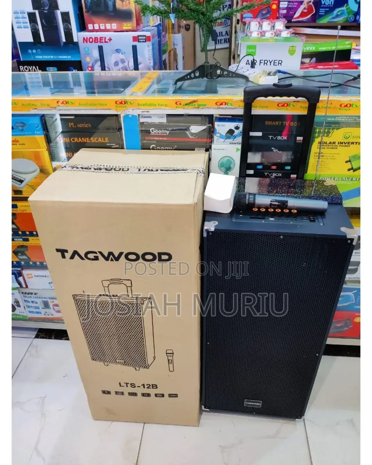 Tagwood 12" 12b Outdoor Indoor Party Speaker – Rechargeable