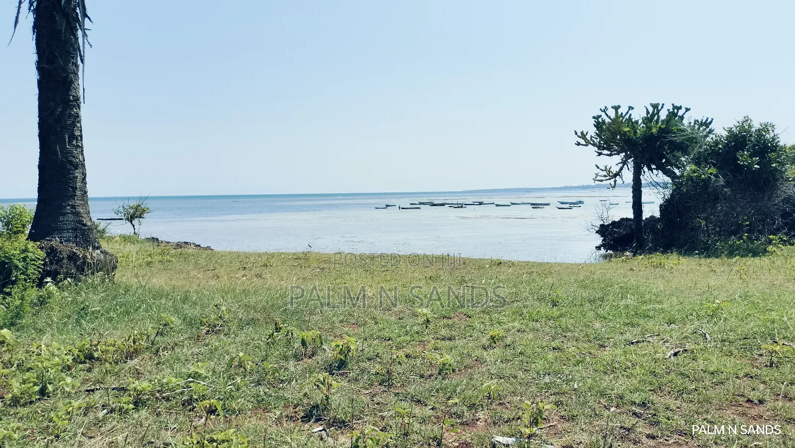 Msambweni One Acre Prime Beach Front Land on Sale! At
