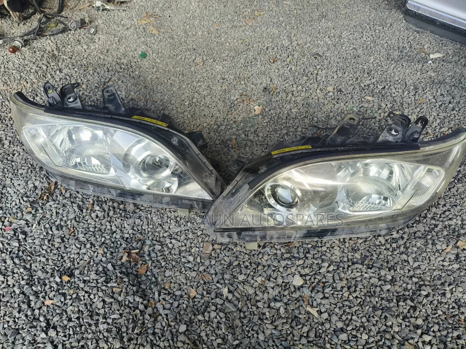 Vanguard Xenon Headlights