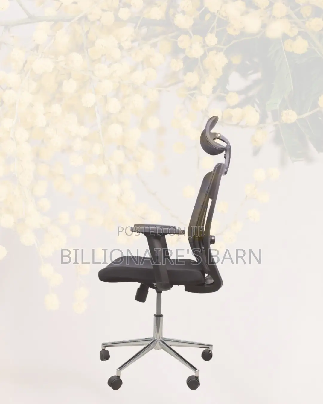 Premium Mesh Executive Seat | Premium Look, Daily Comfort