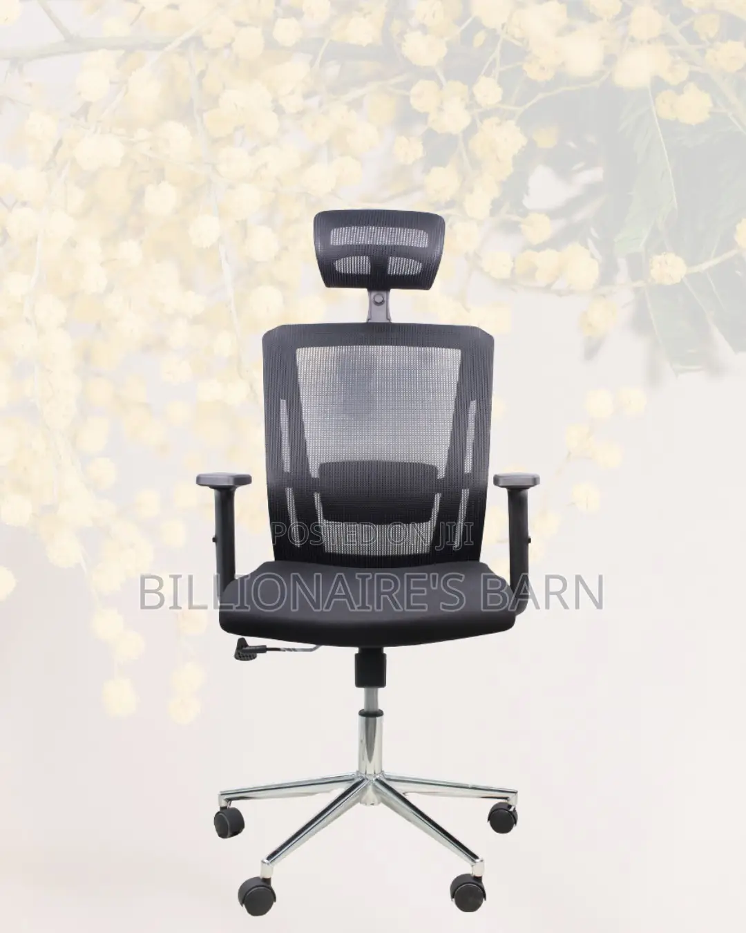Premium Mesh Executive Seat | Premium Look, Daily Comfort