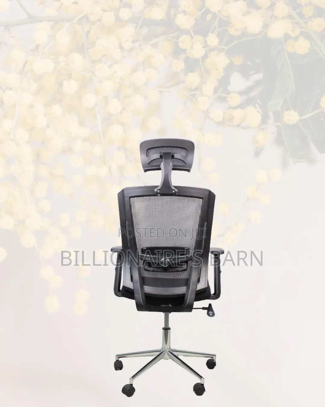Premium Mesh Executive Seat | Premium Look, Daily Comfort