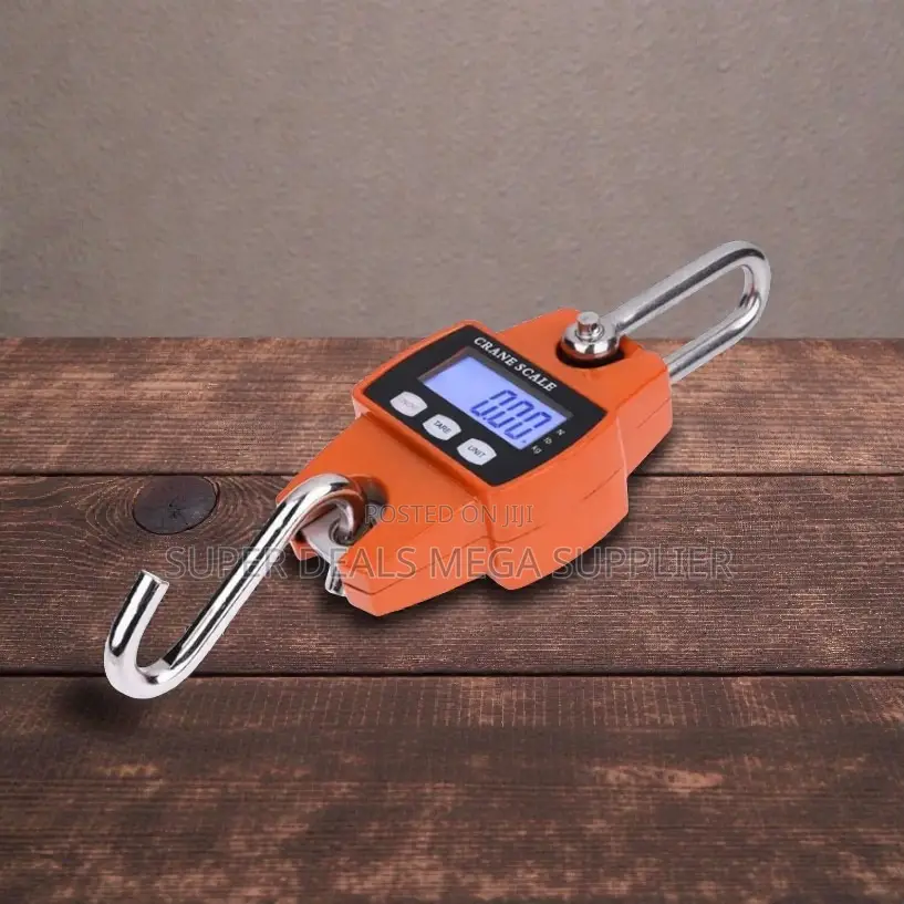 Durable Quality 300kgs Industrial Crane Scale With Durable Weighing