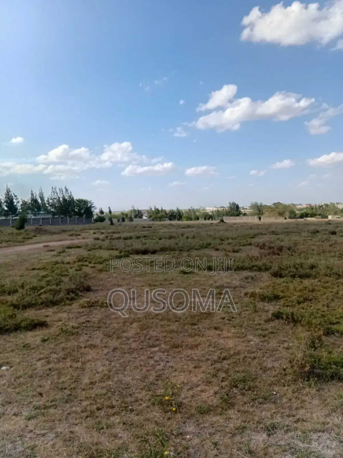 2 Side-by-Side Half-Acre Prime Plots - Kisaju 1.1 Km to Fred's Ranch