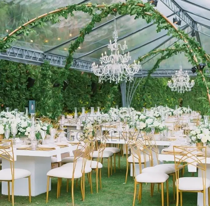 Home Chair; Designer Gold Event Chairs With Plush Cushions for Wedding