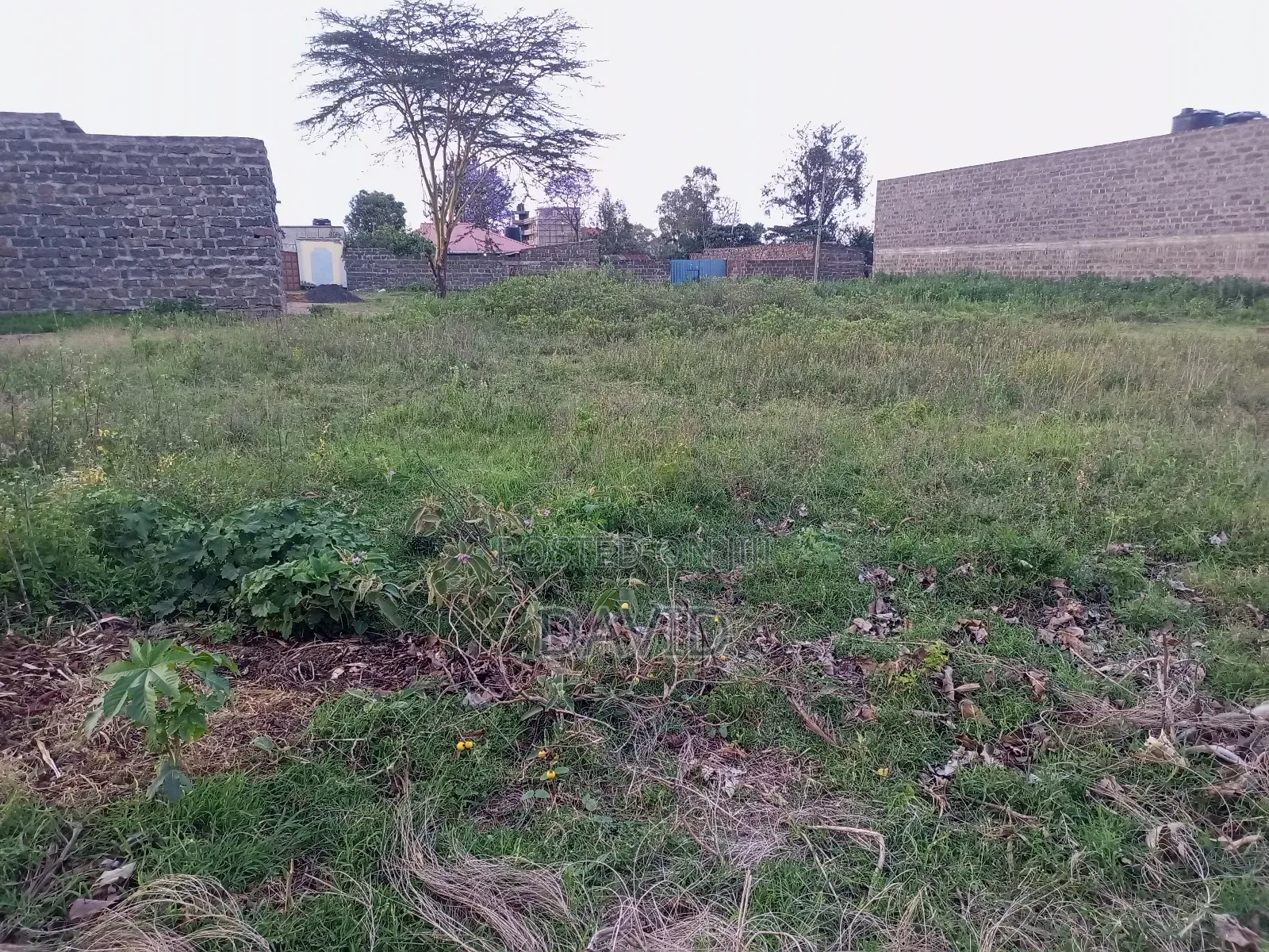 Plot for Sale in Pipeline Bog Alos