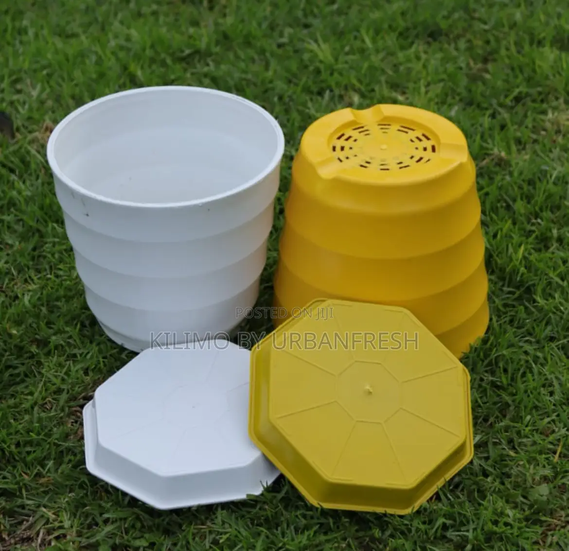 Assorted Colored Planting Pots
