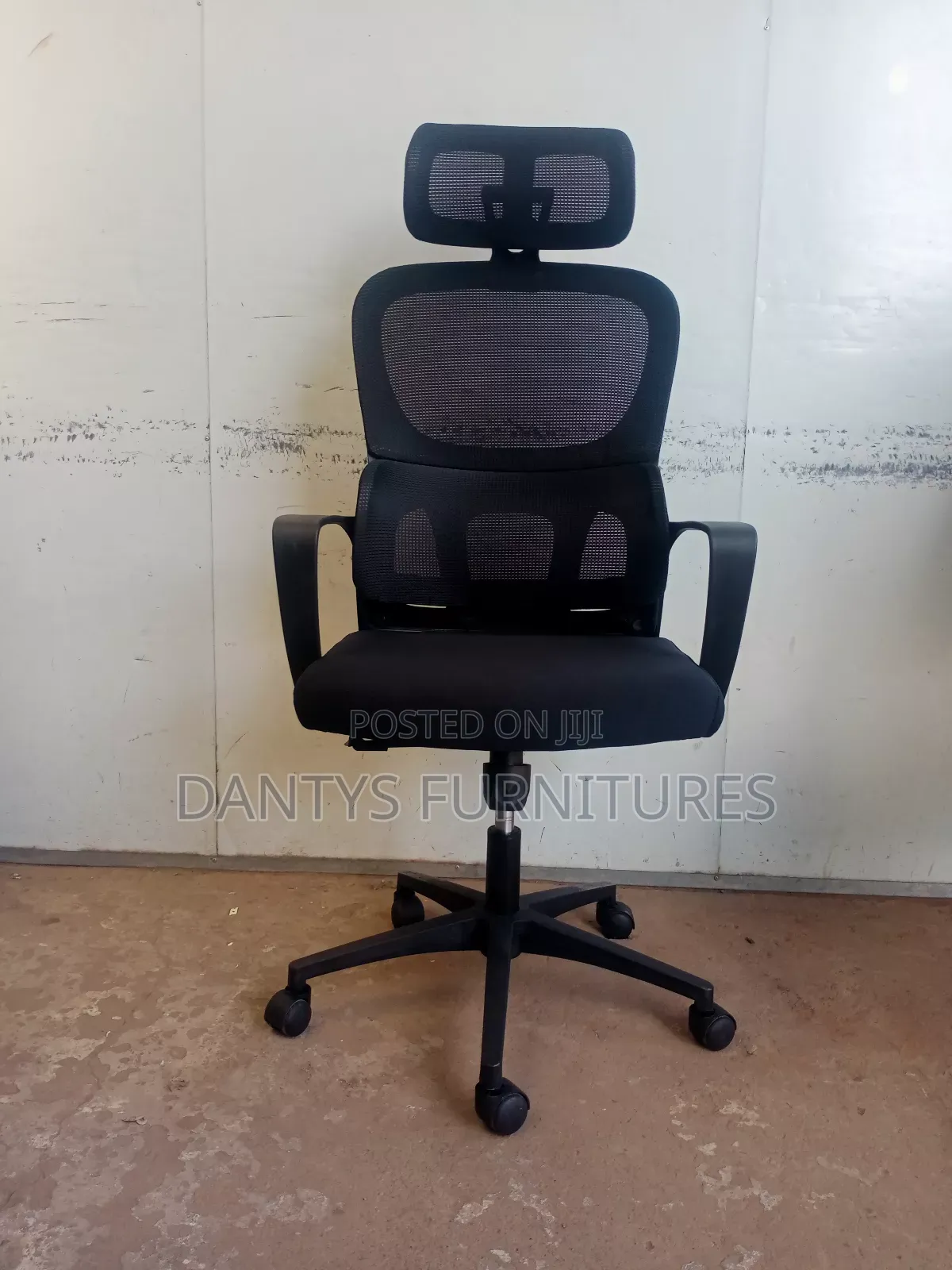 Ergo Orthopedic Chair, Office Chair