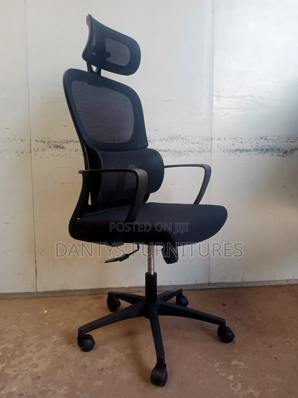 Ergo Orthopedic Chair, Office Chair